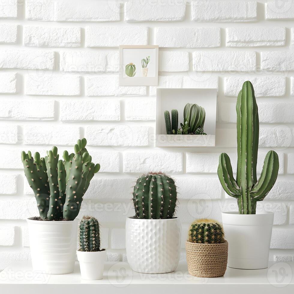 lots of Cactus and succulents in a pot on a white brick wall. Succulents in pots with copy space. photo