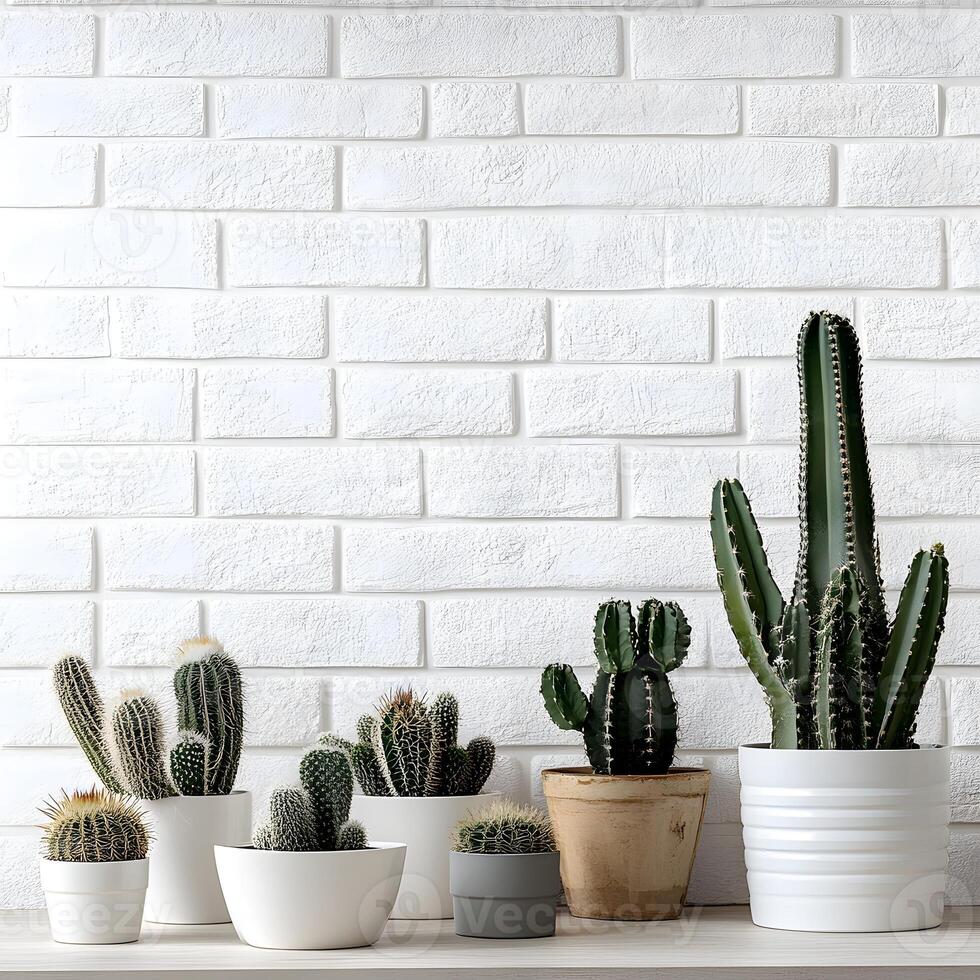 many Cactus and succulents in a pot on a white brick wall. Succulents in pots with copy space. photo