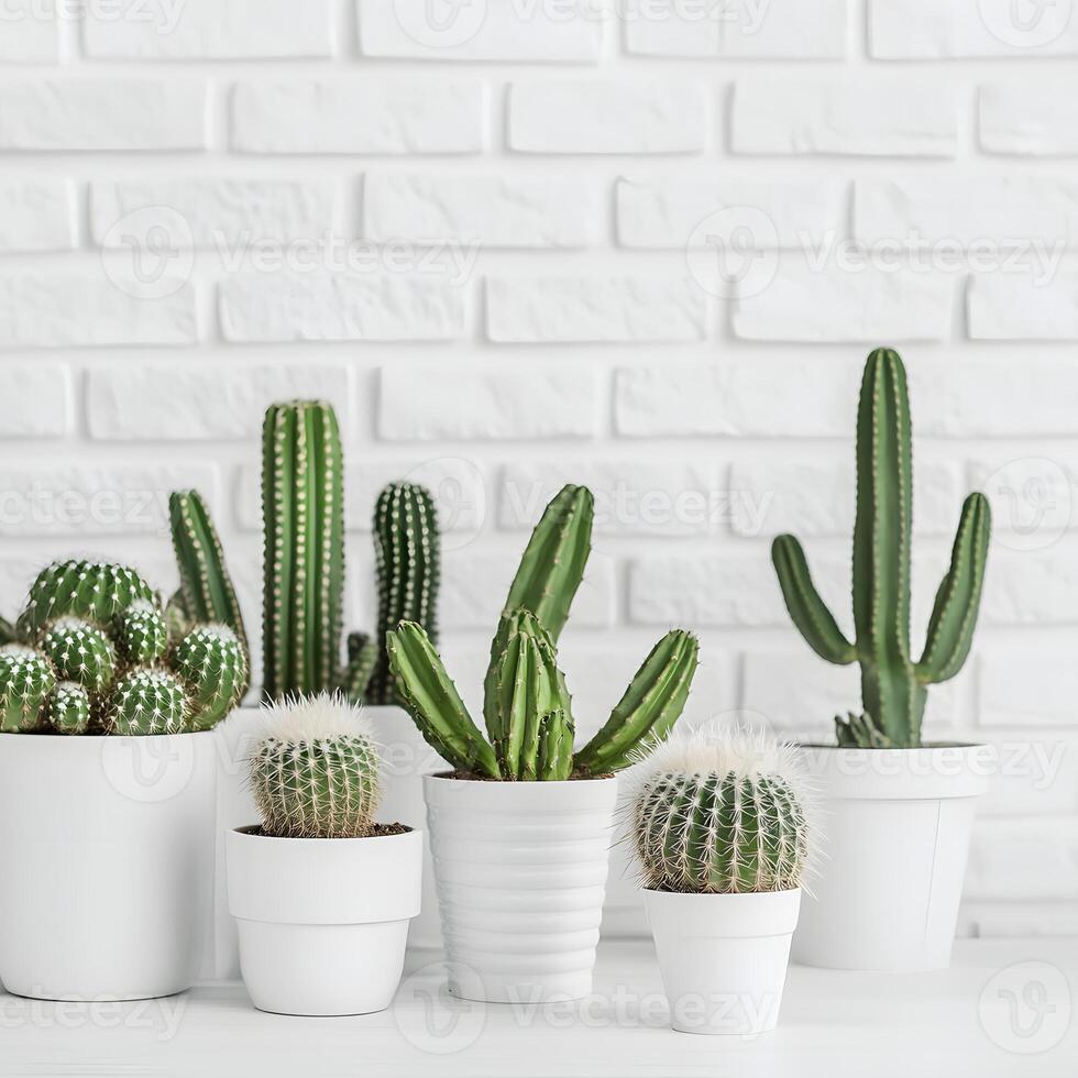 Cactus and succulents in a pot on a white brick wall. Succulents in pots with copy space. Green lifstyle. photo