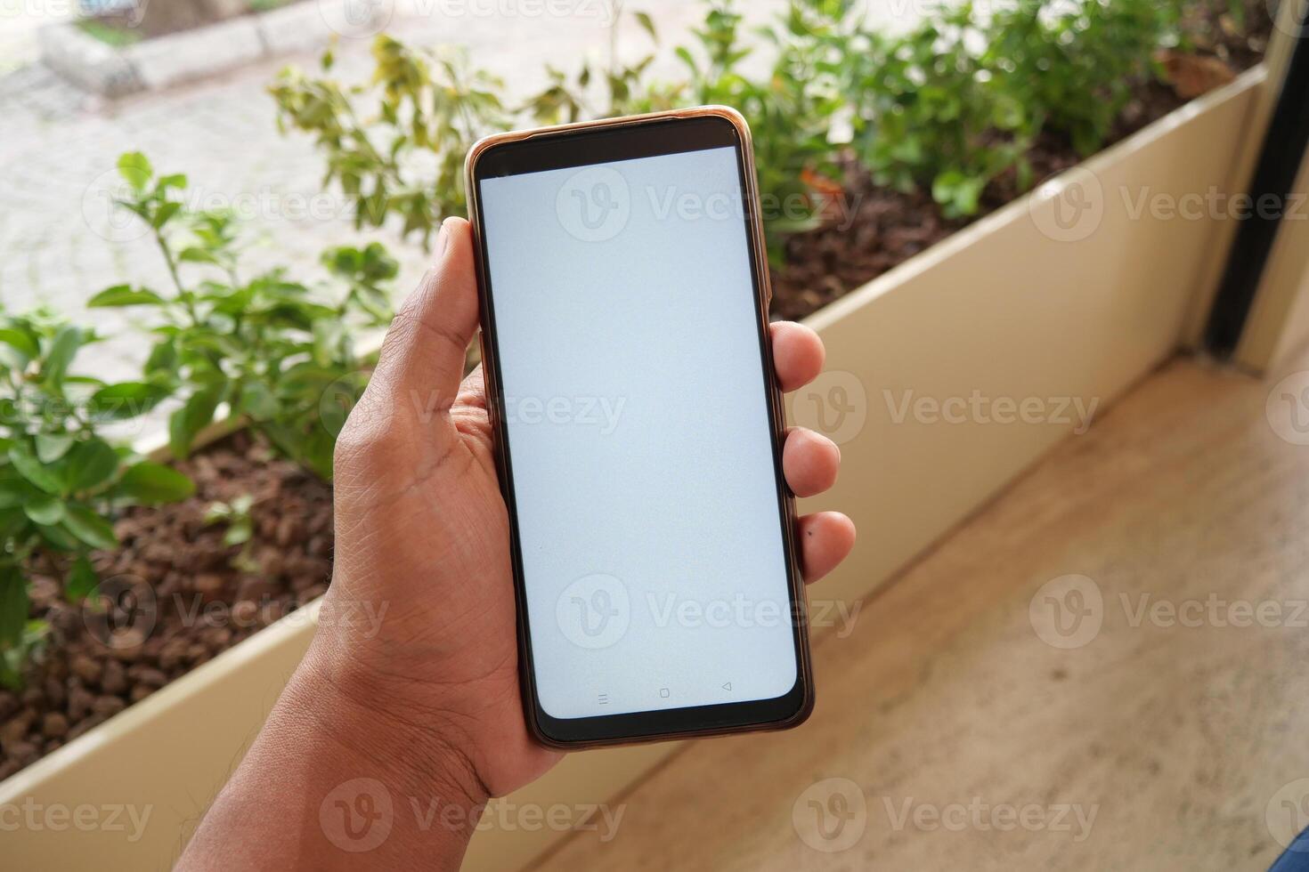 Hand holding a blank smartphone near indoor plants photo