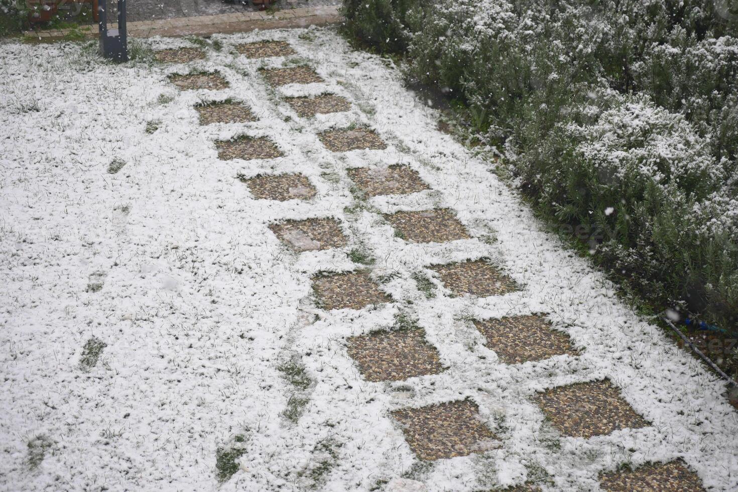 Snow covers a garden path in a residential area during winter photo