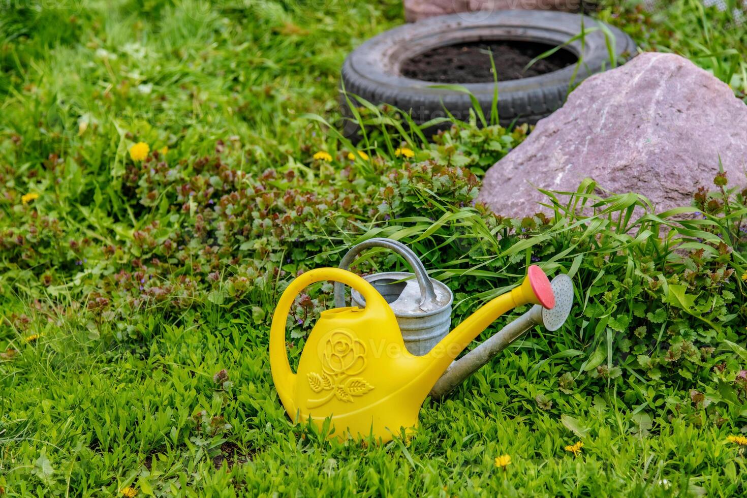 A yellow watering can and a tire in the grass photo