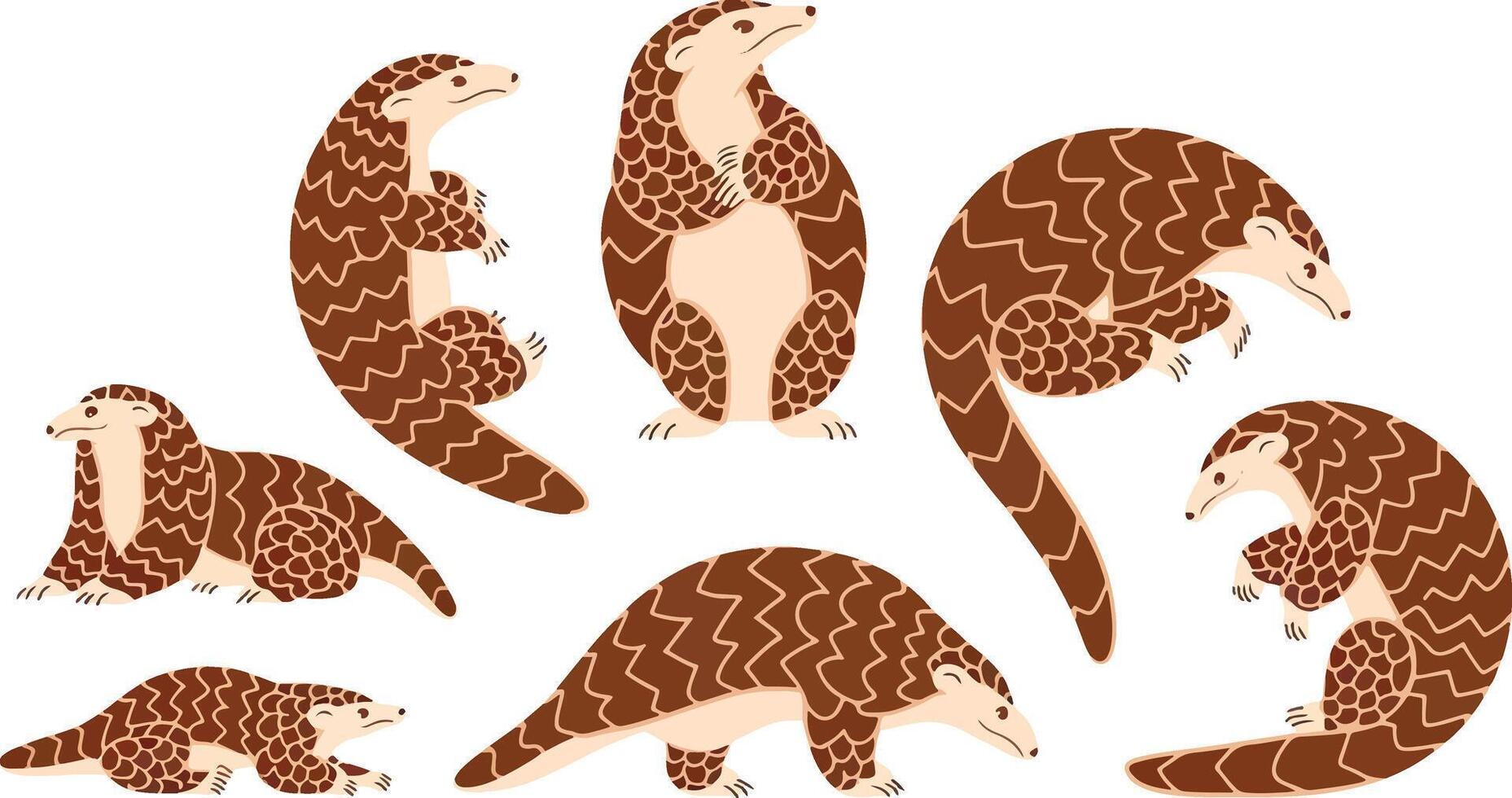 Pangolin Illustrations Cartoon Characters vector
