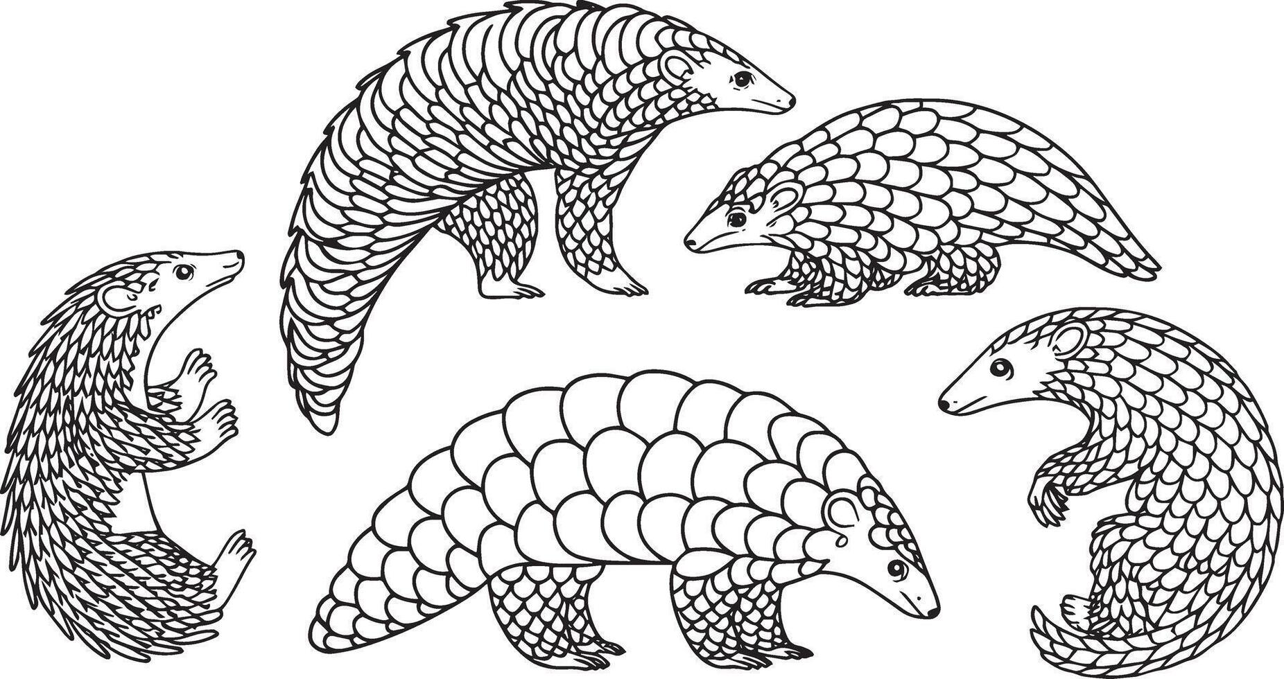 Adorable Pangolins Illustration Set vector