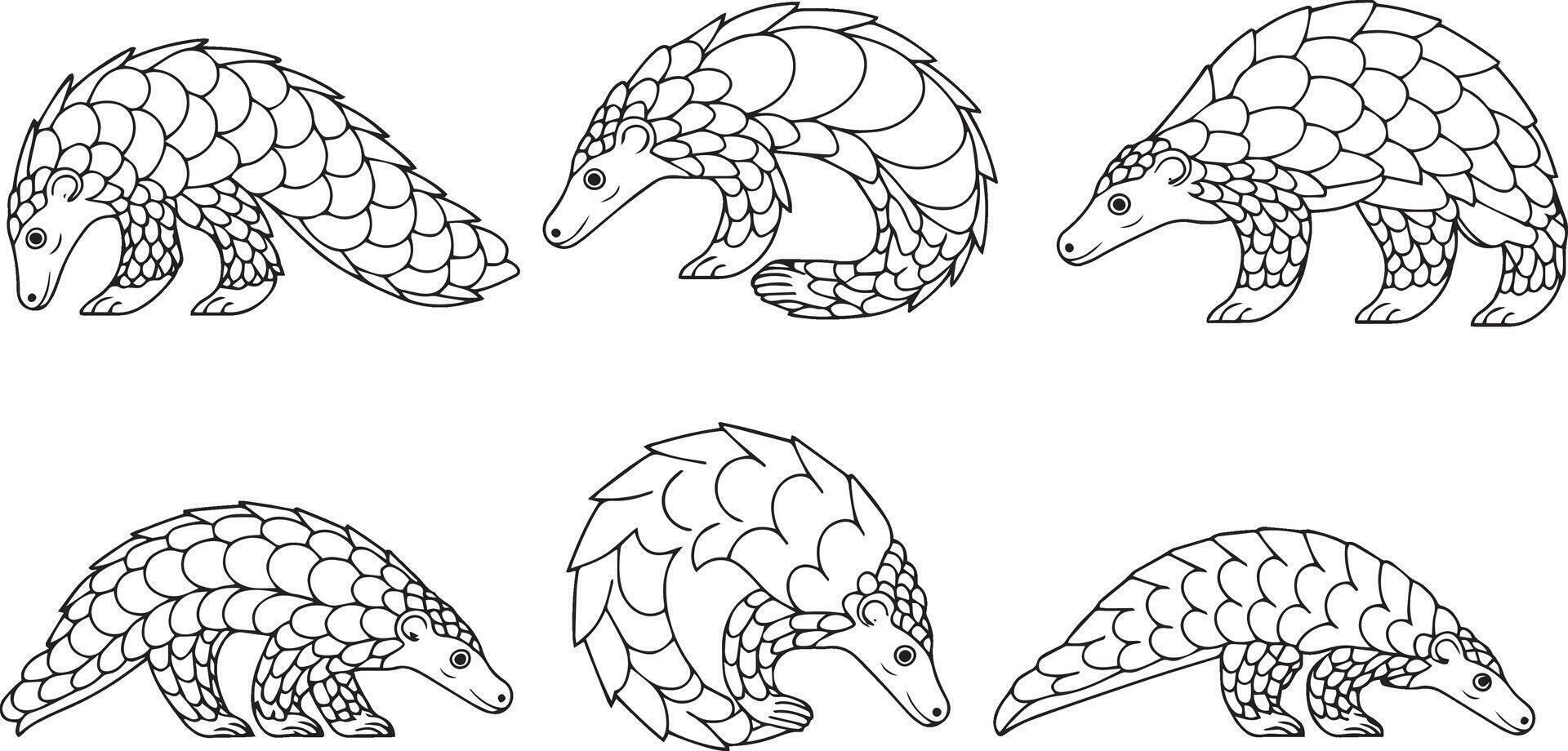 Set Of Pangolin Variations vector