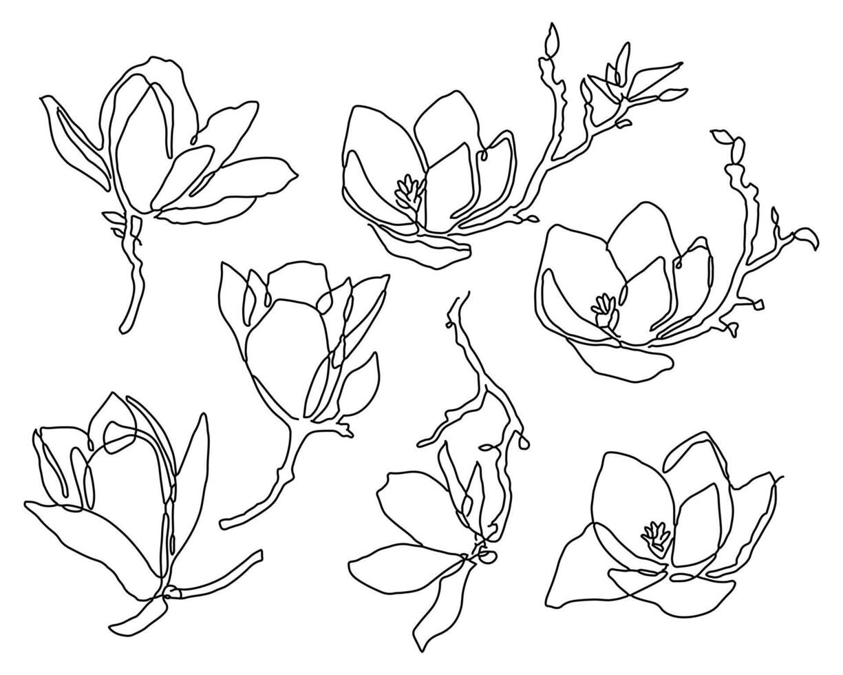 Magnolia Line Art Collection in line art vector