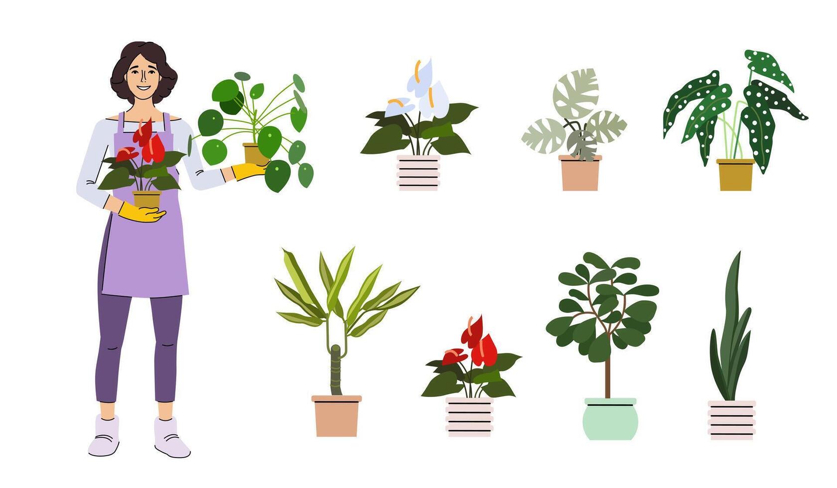 Florist seller concept. Woman with house plants. Esthetics, beauty and elegance. Charming and cute small business owner. Cartoon flat style vector