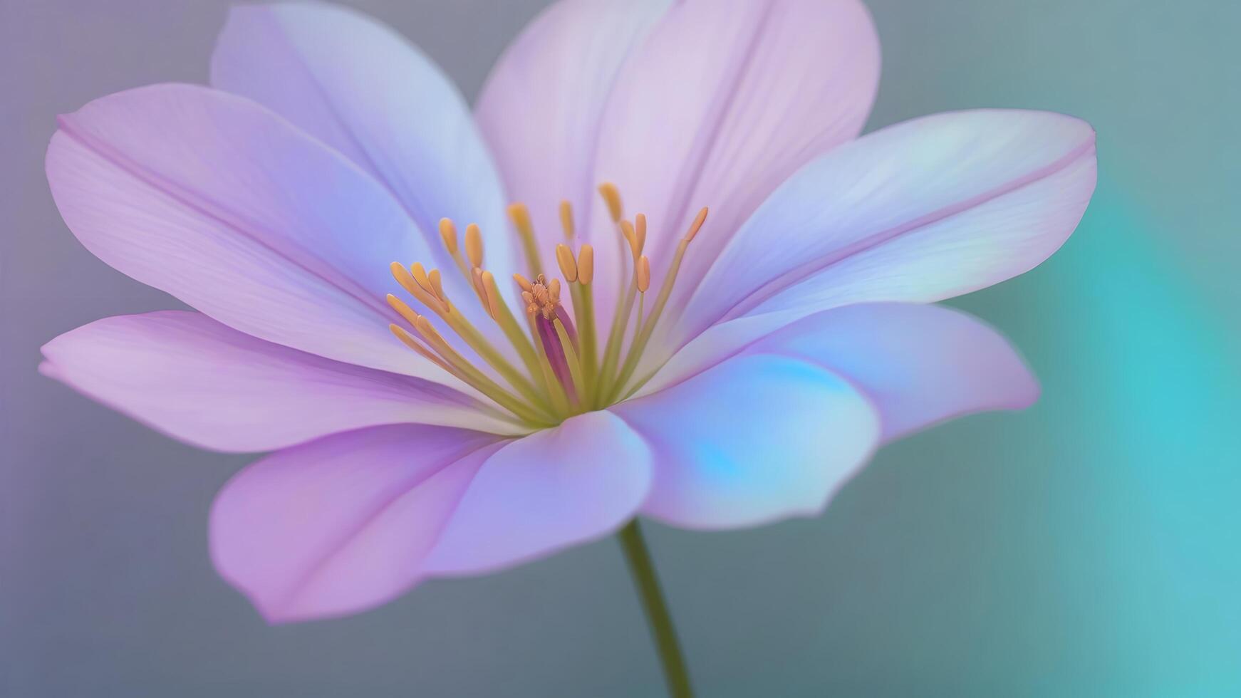 Close-up of a delicate, pastel purple flower with soft, blurred background. photo