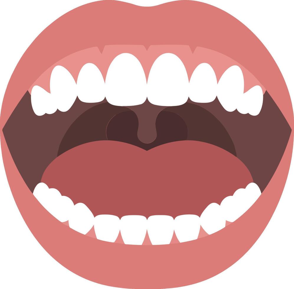 Open mouth with visible teeth and tongue in a flat digital art style showcasing expressions and emotions through illustration vector