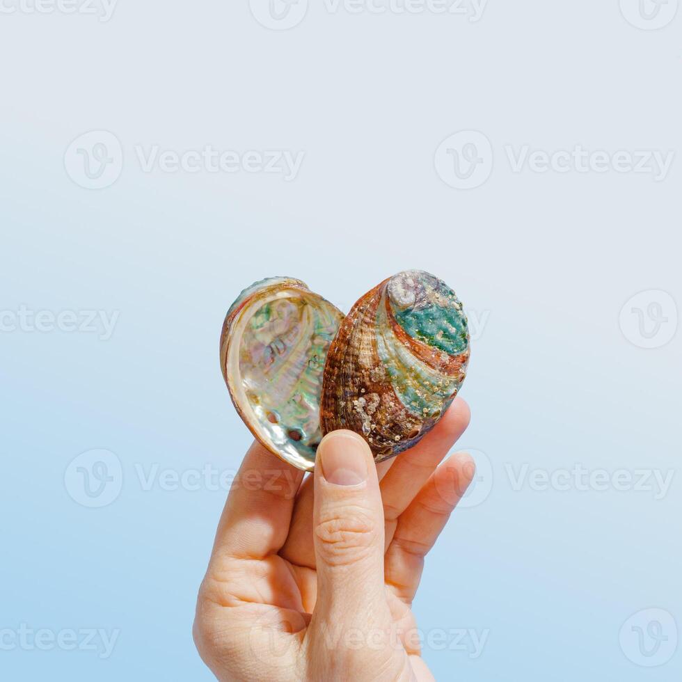 Hand holding vivid abalone shell with iridescent colors on gradient blue background, peaceful style life scene. Shiny seashells heart shaped, love concept for life, relaxation, natural beauty photo