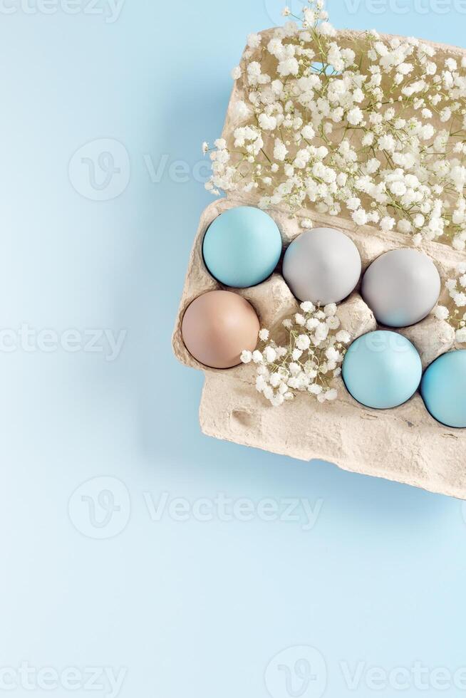 Easter Egg Assortment in box with White flowers on Light Blue Background. Pastel colored dyed eggs in package, spring holiday photo, tender soft hues, celebration food and white flowers photo