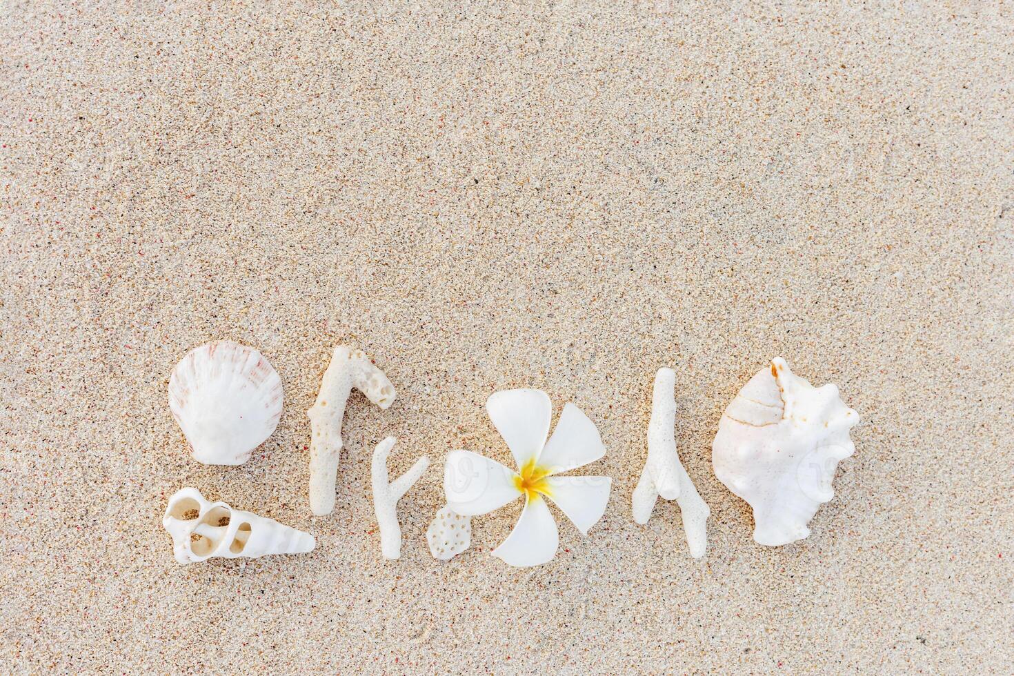 Seashell, Tropical white flower, Corals Composition on beach sand. Minimal pattern variety of sea shells, corals, frangipani flower on sandy shore. Creative top view of natural sea life photo