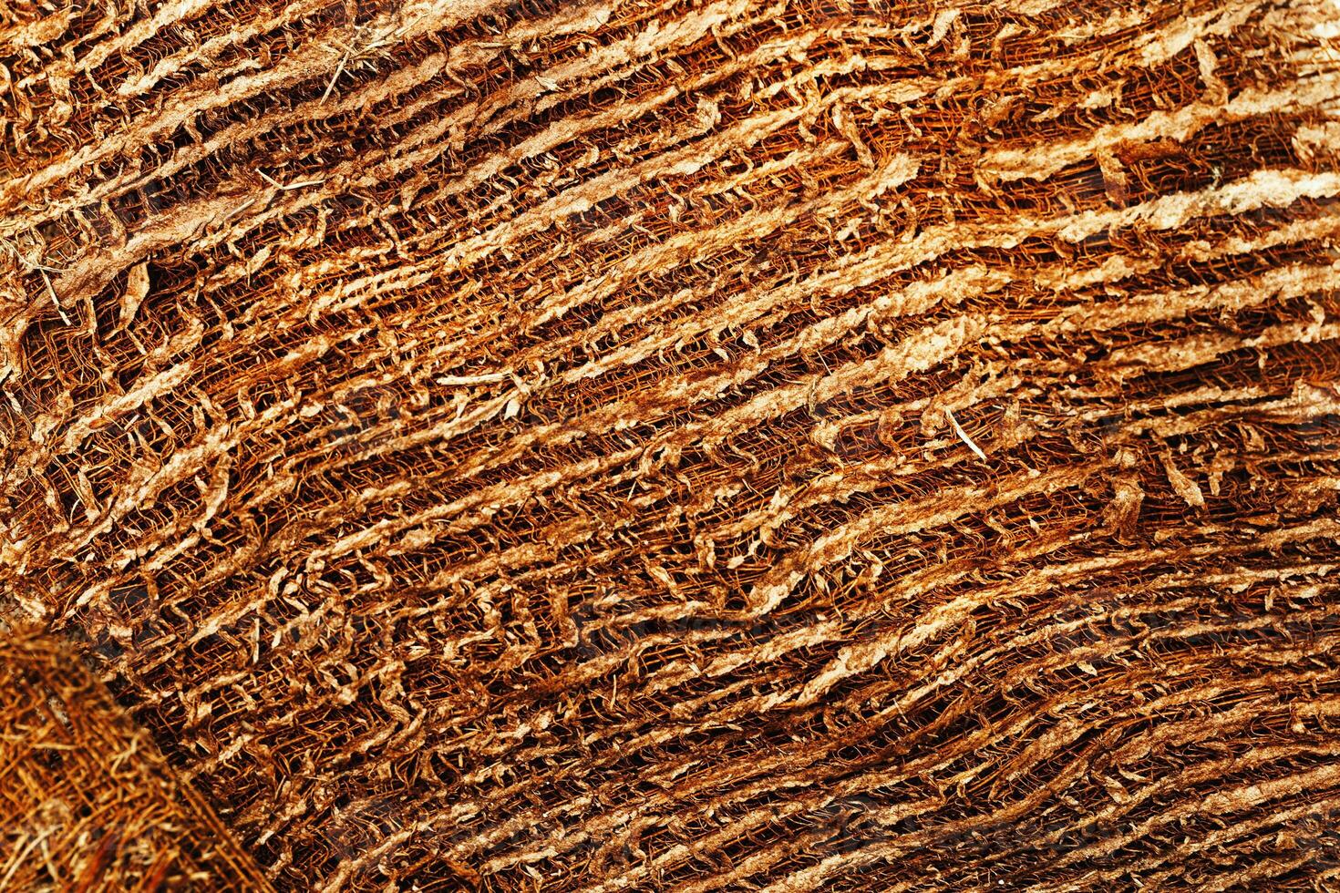 Close up brown Coconut fiber texture background, dried old coconut coir top view natural pattern, eco materials for recycling, detail textured wooden surface, dark color, low depth of field photo