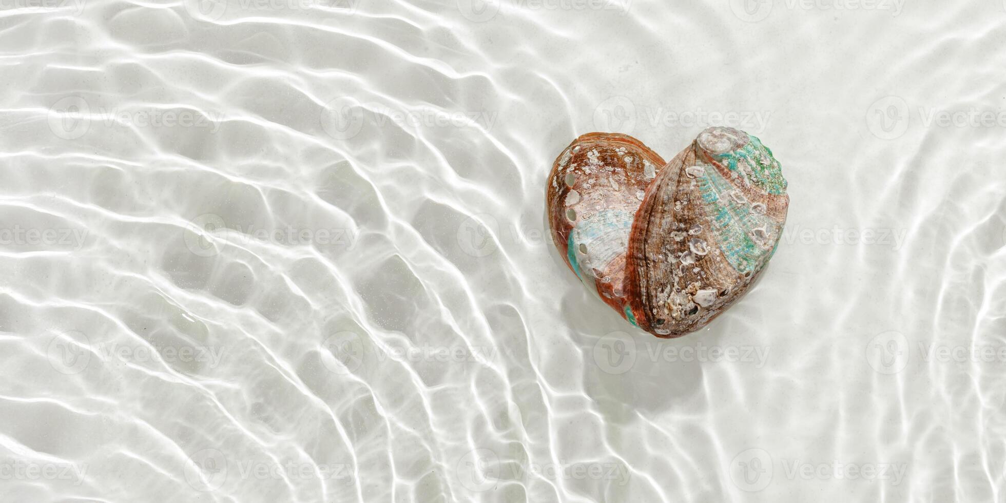 Two natural seashells forming heart, sea water gentle ripples cast soft, wavy shadows on clean, light-color background, summer, serene, minimalist aesthetic concept. Feelings of love, tranquil photo