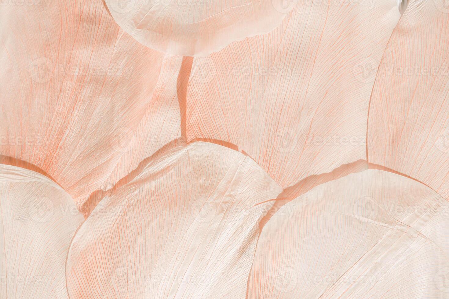 Nature abstract of flower petals, leaves with natural texture as natural background or backdrop. Macro texture, beige pink pastel colored aesthetic photo with veins of petals, botanical design.