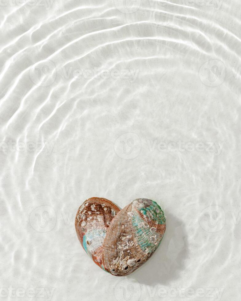 Two natural seashells form heart, sea water gentle ripples cast soft, wavy shadows on clean, light-color background, summer, serene, minimalist aesthetic concept. Feelings of love, tranquil photo