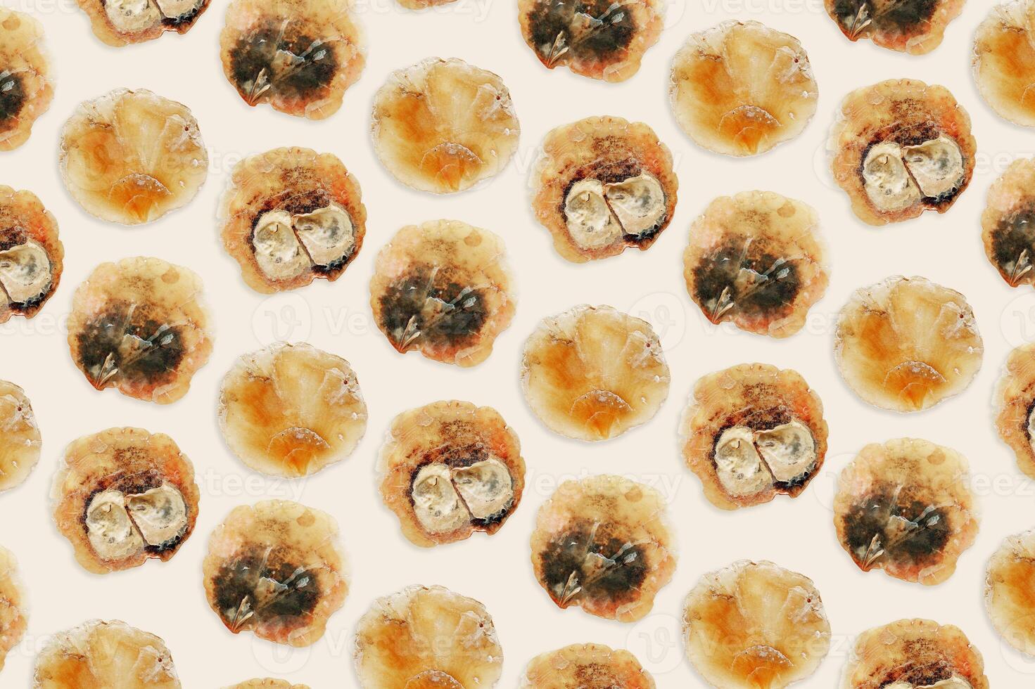 Minimal style pattern of Anomia seashell, translucent bivalve, oceanic aesthetic top view beige background, marine life nature design, Summer vibes tranquil nature, beige yellow tones, nautical photo