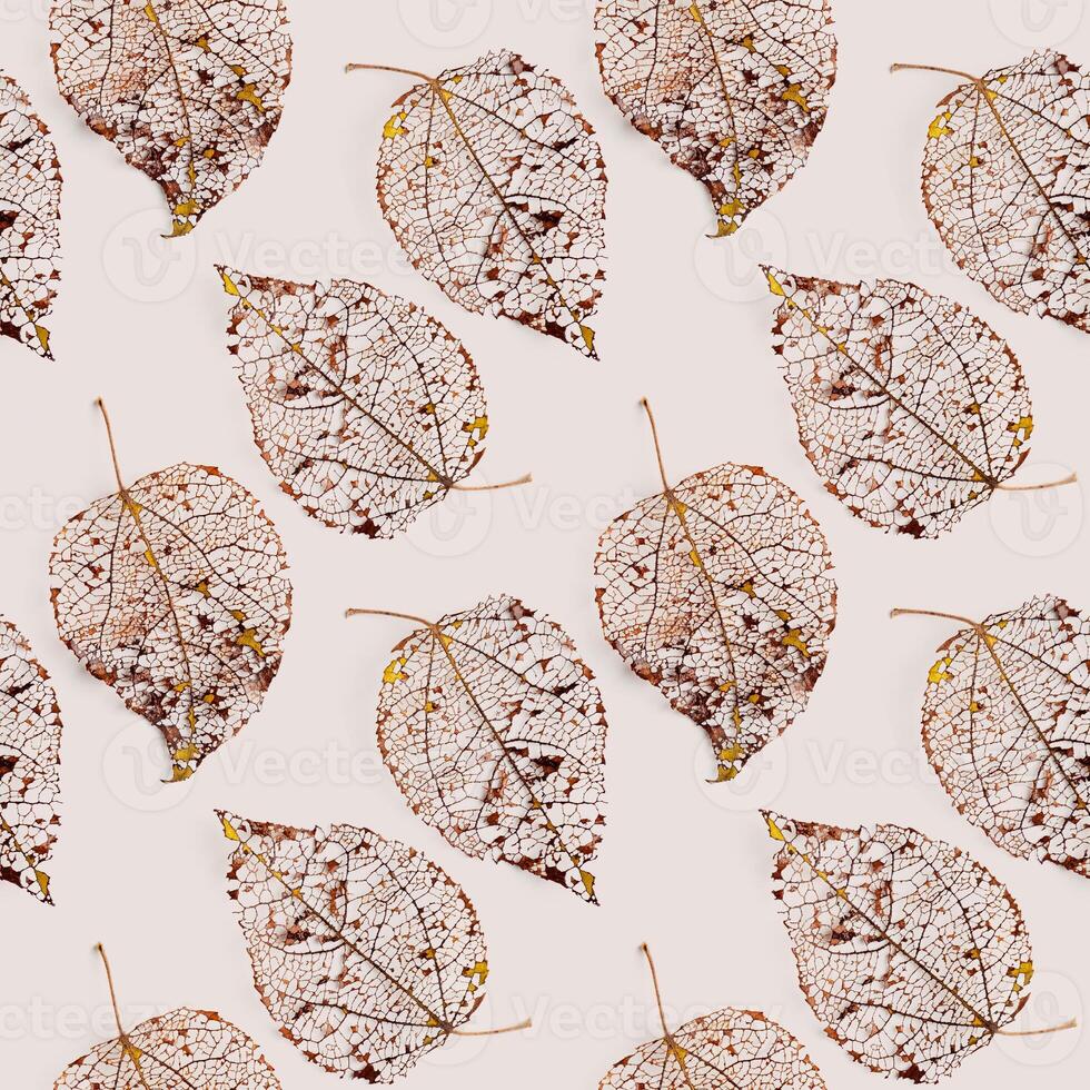Golden skeletonized leaf on beige, autumn leaves seamless pattern background. Beauty nature concept. Fall season botanical pattern from close up foliage natural texture, vein of leaves photo