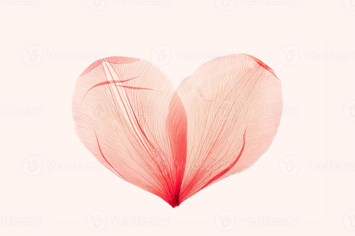 Abstract shape heart from pink red delicate flower petals, natural texture pressed leaf on pele pink background. Macro texture, minimal botanical design card, wedding invitation, monochrome photo