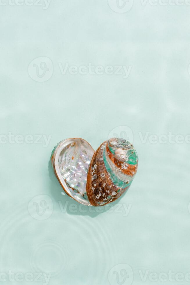 Minimal aesthetic scene, heart of iridescent seashells in waves seawater at sunlight, natural beauty marine life, connection with nature, tranquility, meditation. Shell as symbol of love photo