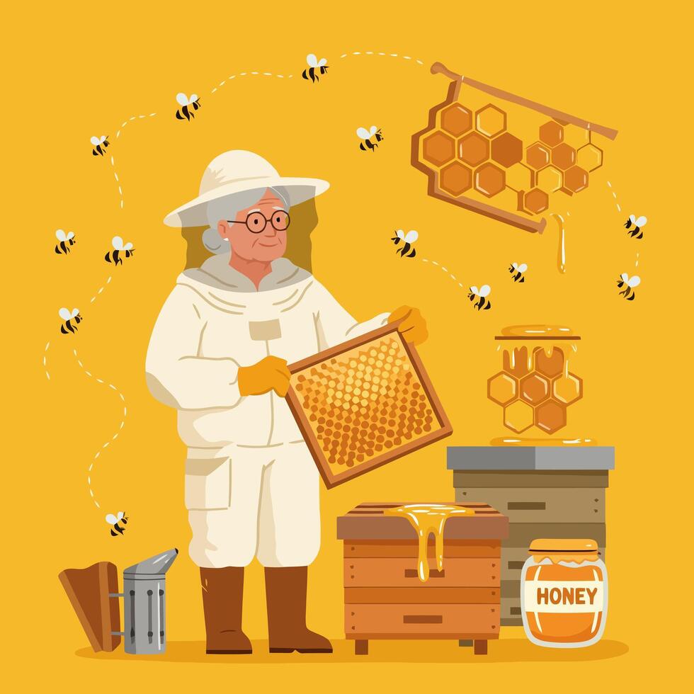Beekeeper Checking Honeycomb Frame with Bees and Honey Illustration vector