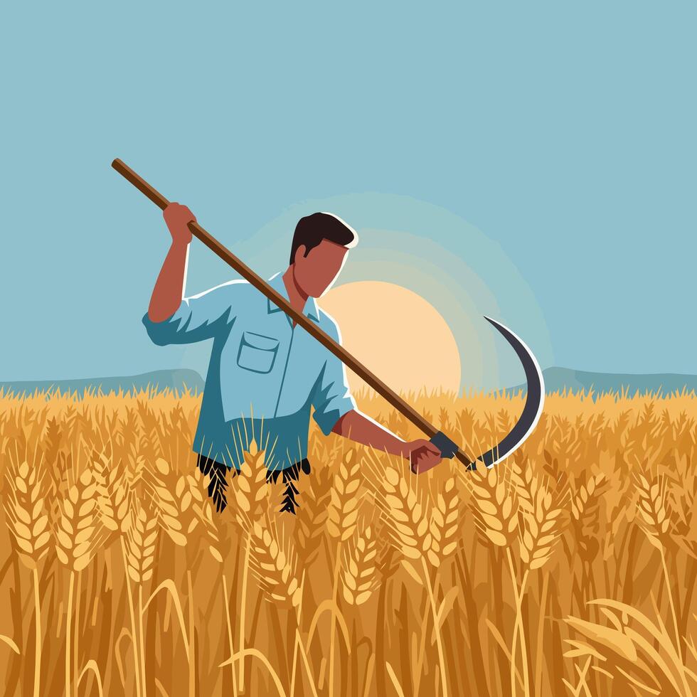 Farmer Harvesting Wheat Field at Sunrise with Scythe Illustration vector