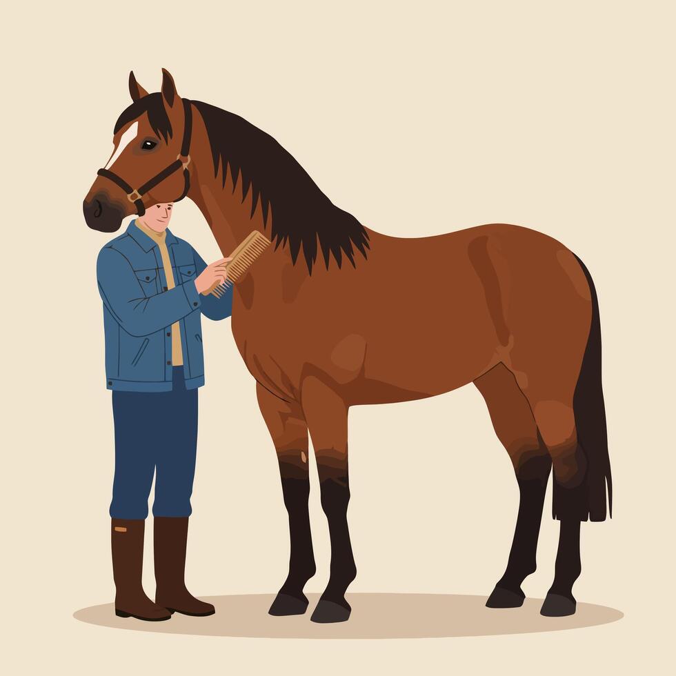 Man Grooming Brown Horse with Comb in Stable Environment vector