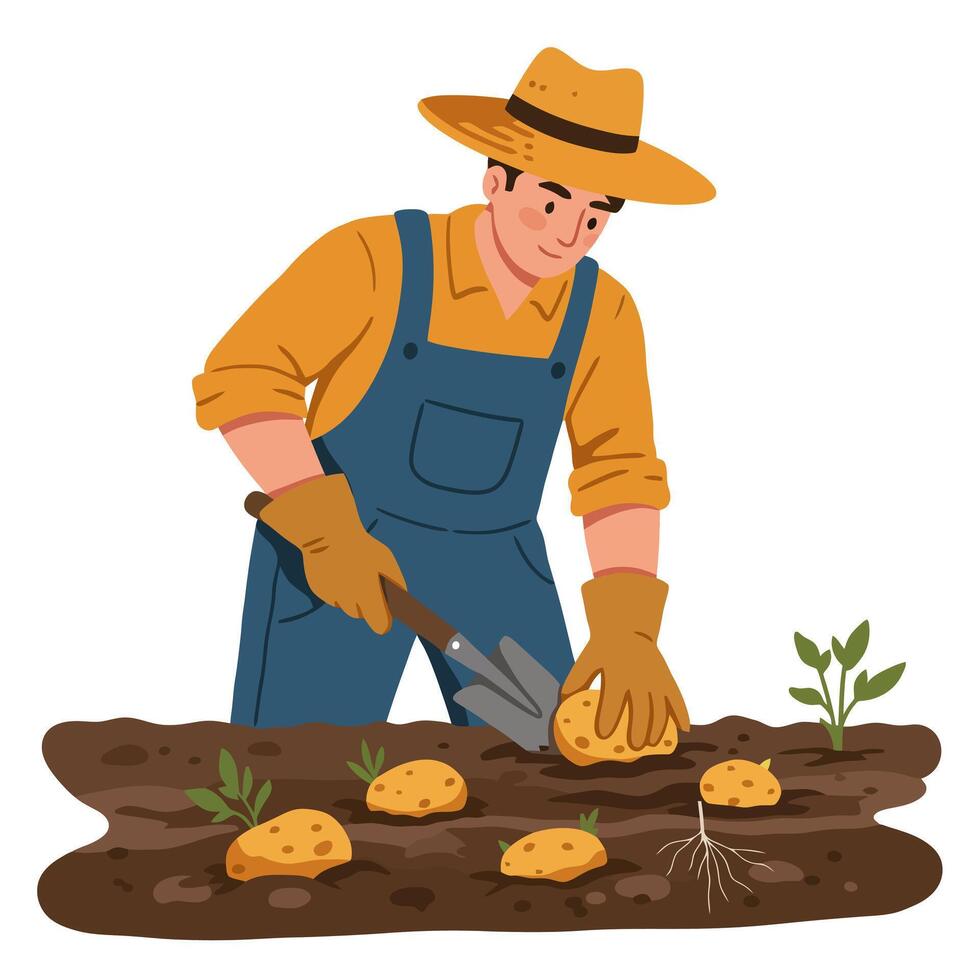 Farmer Planting Potatoes in Soil with Garden Tool and Hat vector