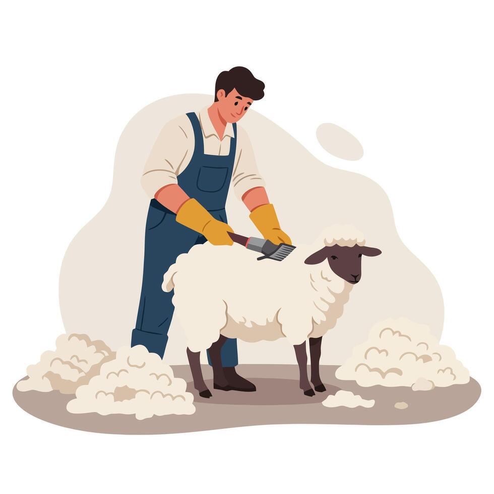 Man Shearing Sheep with Tool in Cartoon Style vector
