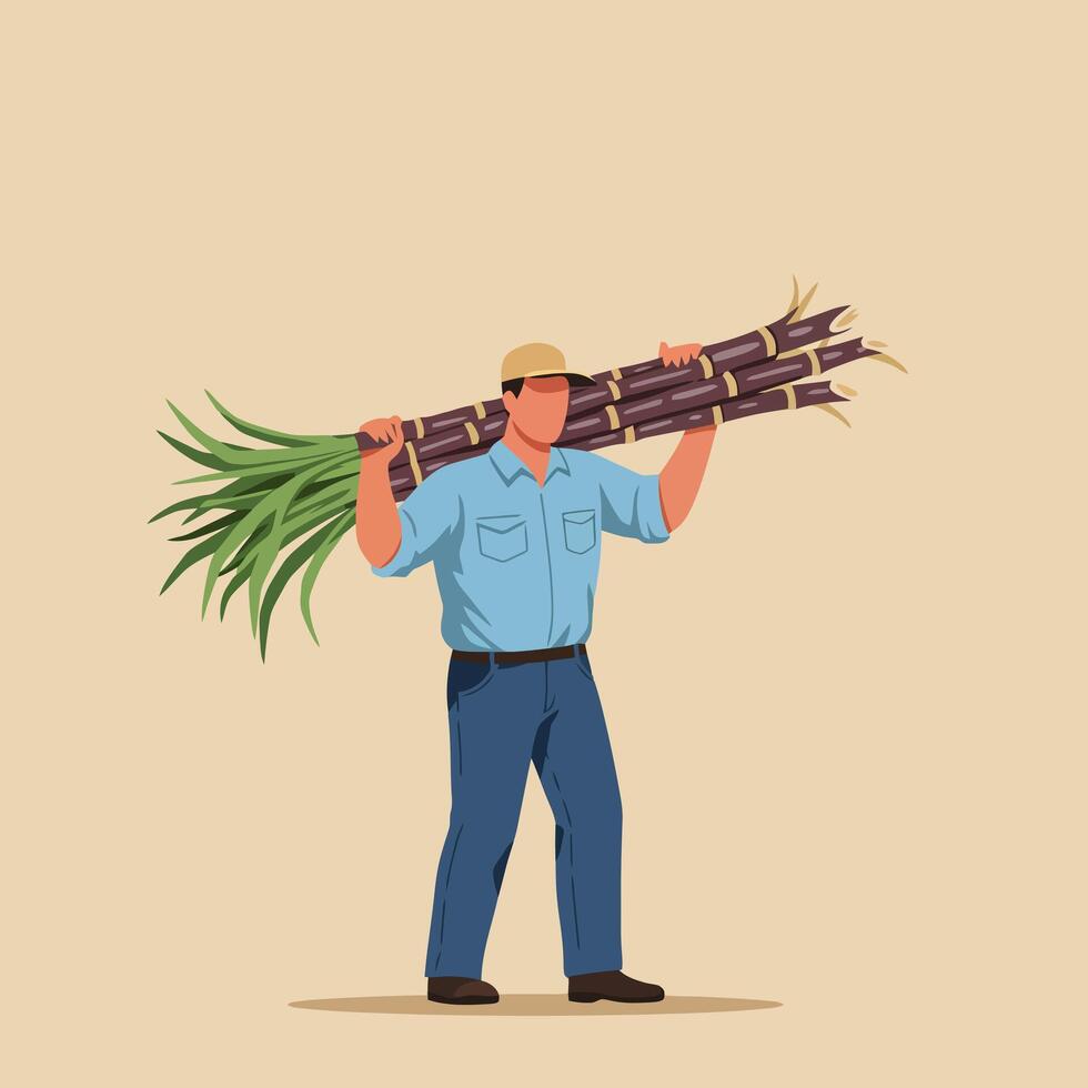 Carrying Sugar Cane Harvest Illustration of Farmer with Cane Sticks vector