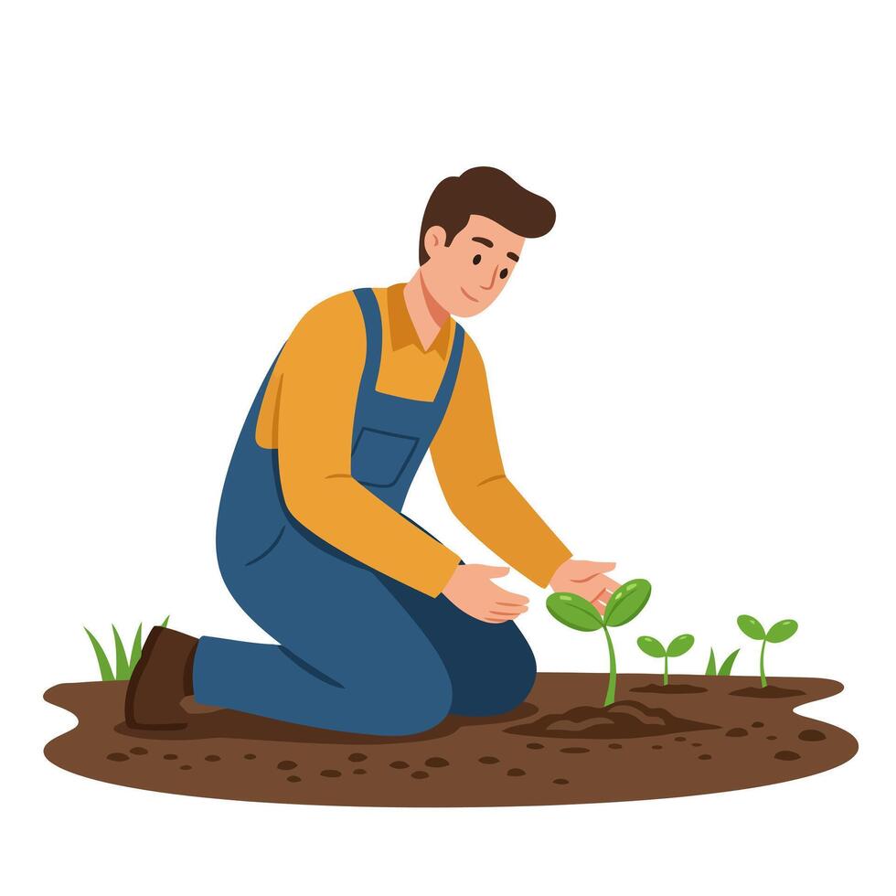 Man Planting Seedlings in Garden with Care and Attention vector