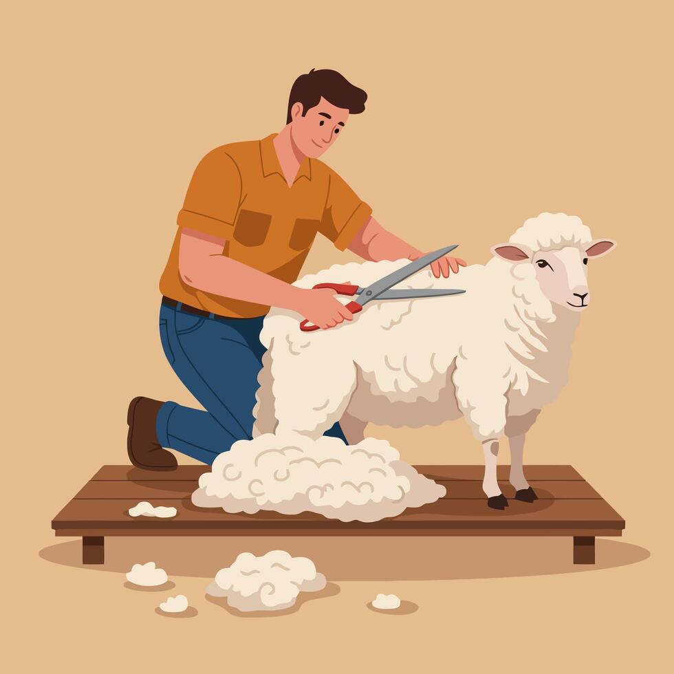 Shearing Sheep with Scissors Simple Cartoon Illustration Style Image vector
