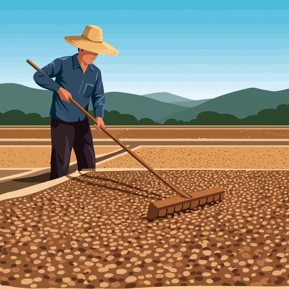 Farmer Raking Harvested Crop in Field Under Clear Blue Sky vector