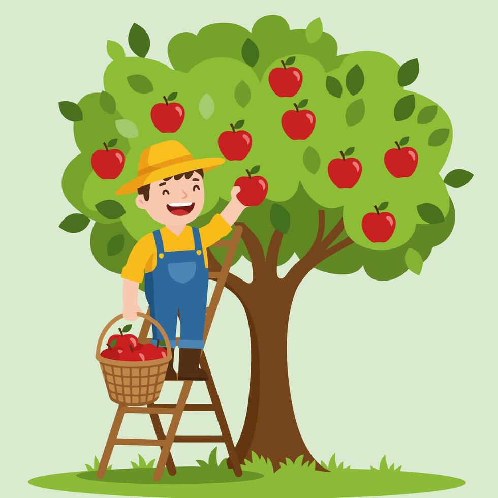 Picking Ripe Apples From a Tree on a Sunny Day vector