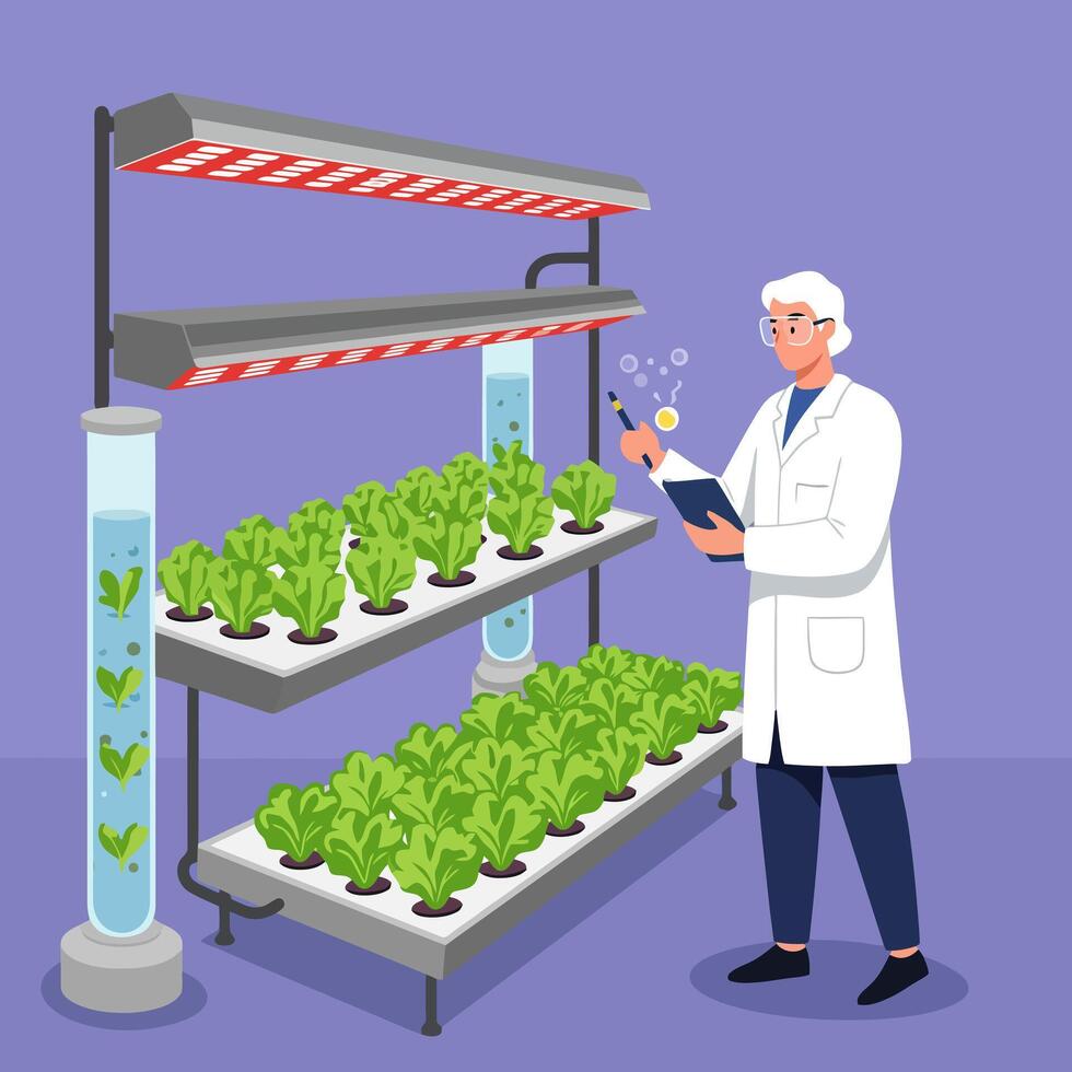 Scientist Inspecting Indoor Vertical Farm with Lettuce Under Artificial Lights vector