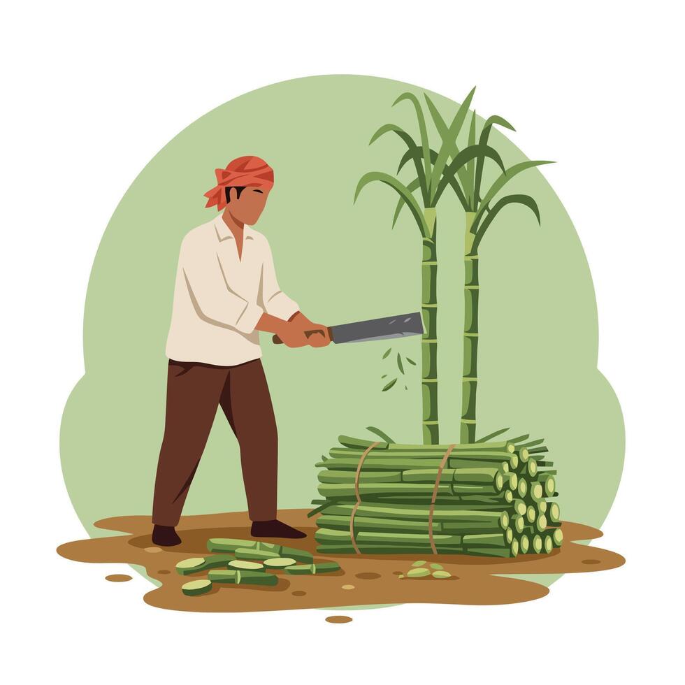 Man Cutting Sugarcane with Machete in Agricultural Harvest Scene vector