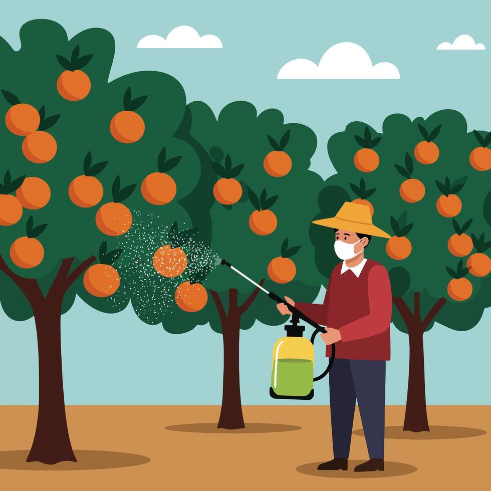 Spraying Orange Trees Farmer Applying Pesticide in Orchard Illustration vector
