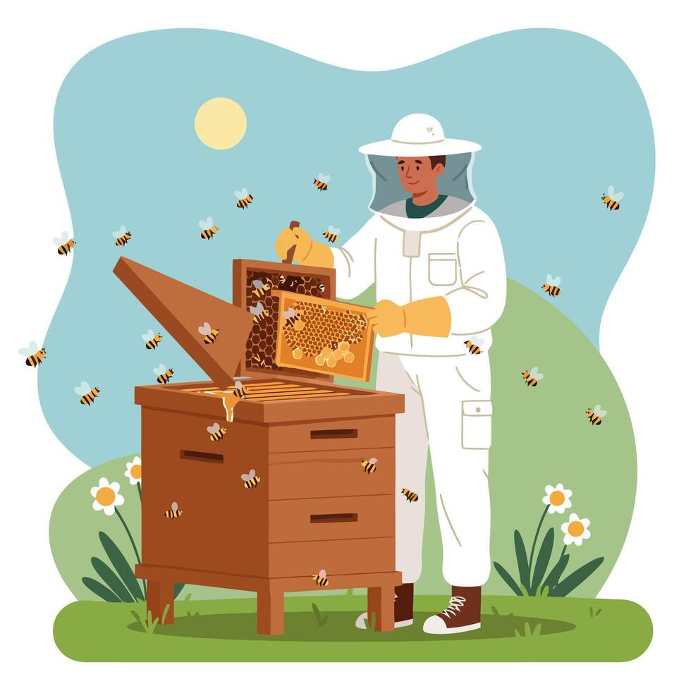 Beekeeper Inspecting Honeycomb Frame From Beehive Surrounded by Bees vector