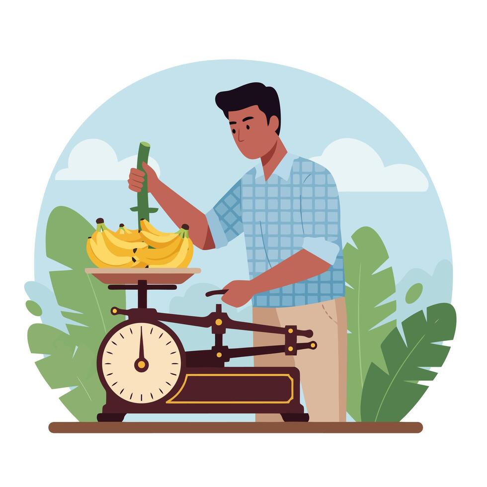 Person Weighing Bananas on Antique Scale in Tropical Setting Illustration vector