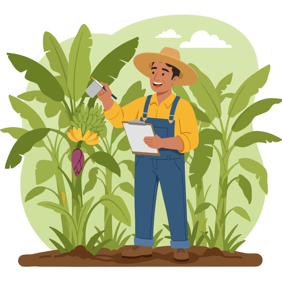 Farmer Inspecting Banana Crop with Clipboard in Farm Setting vector