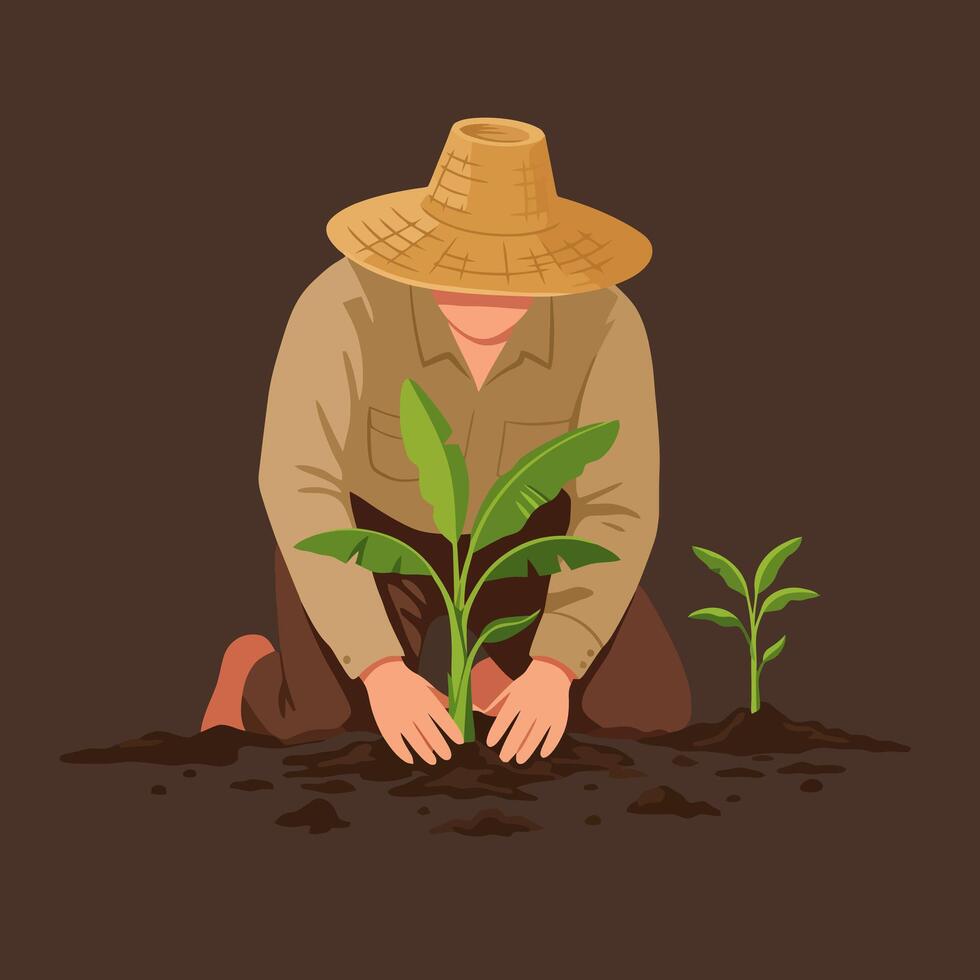 Planting New Banana Tree Sapling by Farmer with Traditional Hat vector