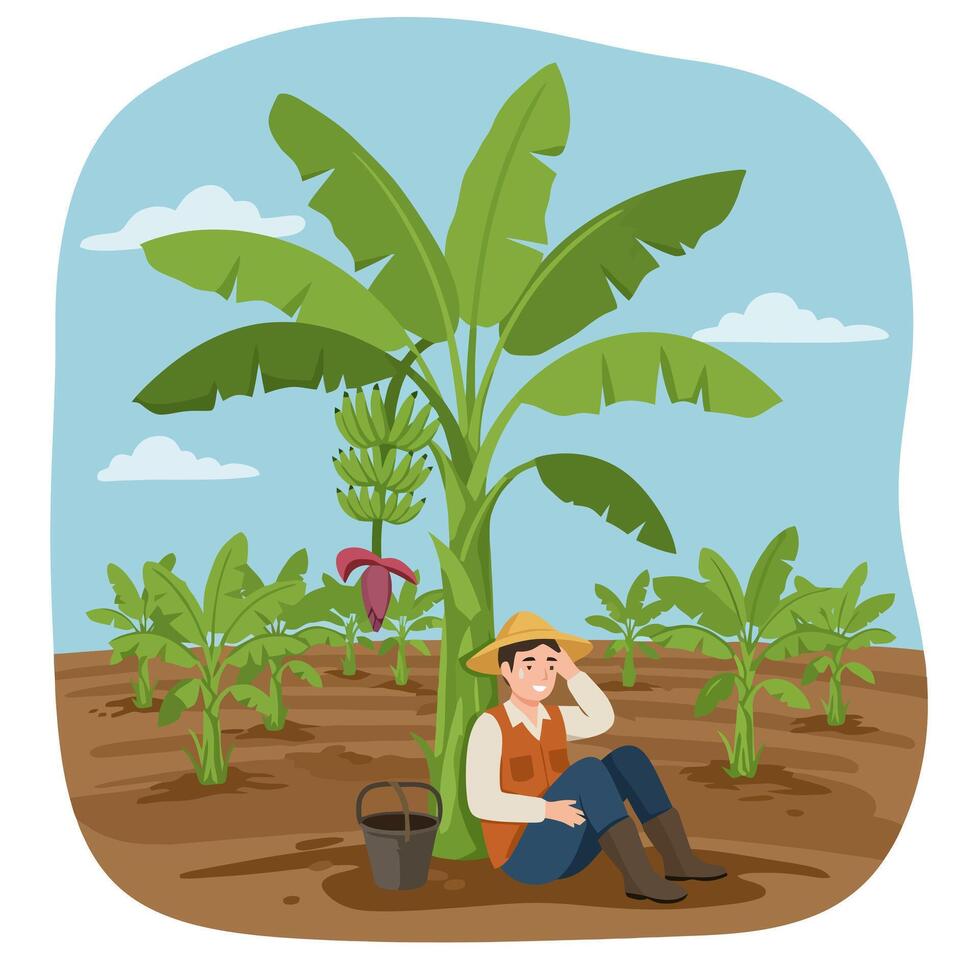 Farmer Resting Near Banana Tree in Field on Sunny Day vector