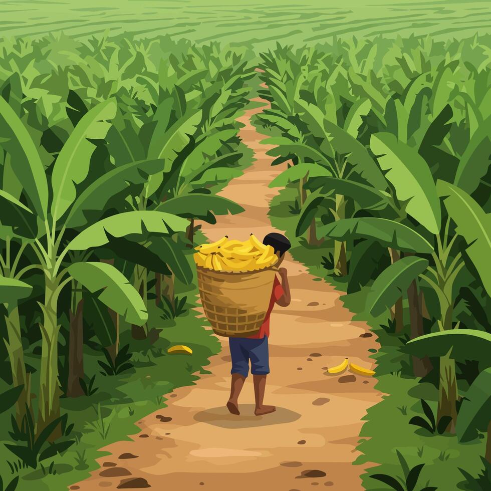 Carrying Bananas Through Plantation Path Rural Scene Illustration vector