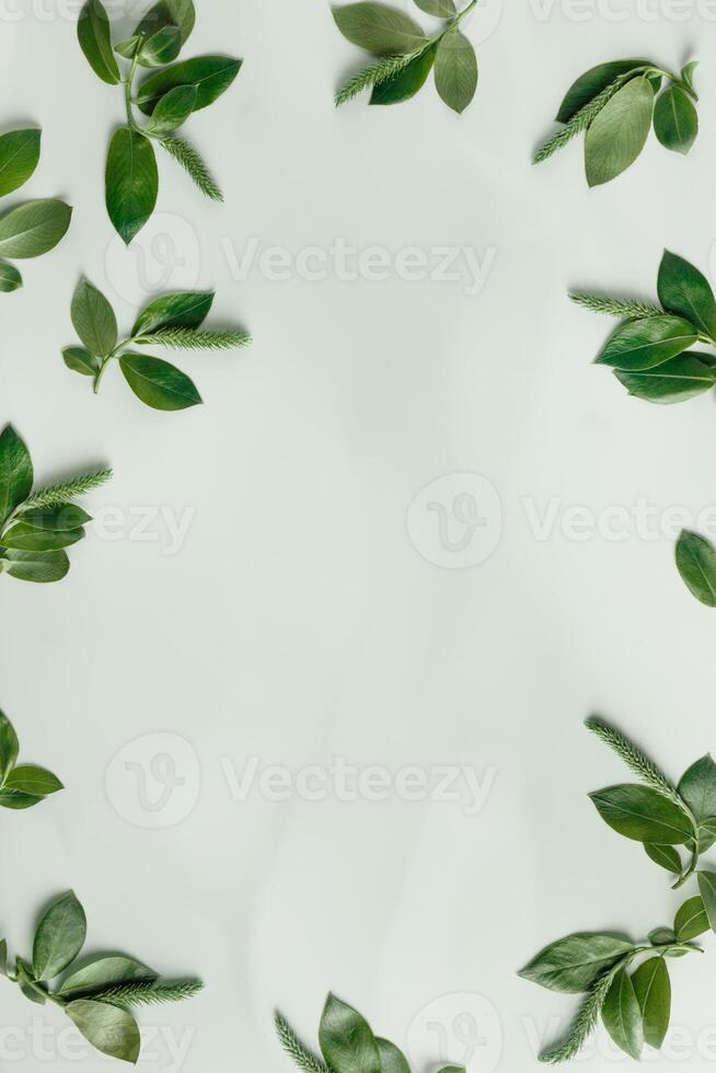 Minimal spring frame from tree branches with young green leaves. Botanical seasonal styling background with copy space, nature aesthetic fon. New twigs of tree, monochrome colored, vertical photo