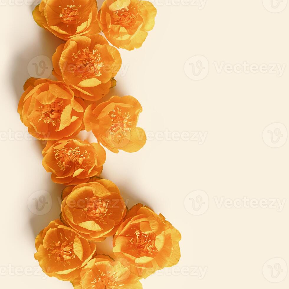 Minimal monochrome flowery background with orange colored delicate wild flowers peony on beige, copyspace, aesthetic floral design top view, natural blooming spring bloom, holiday card, nature photo