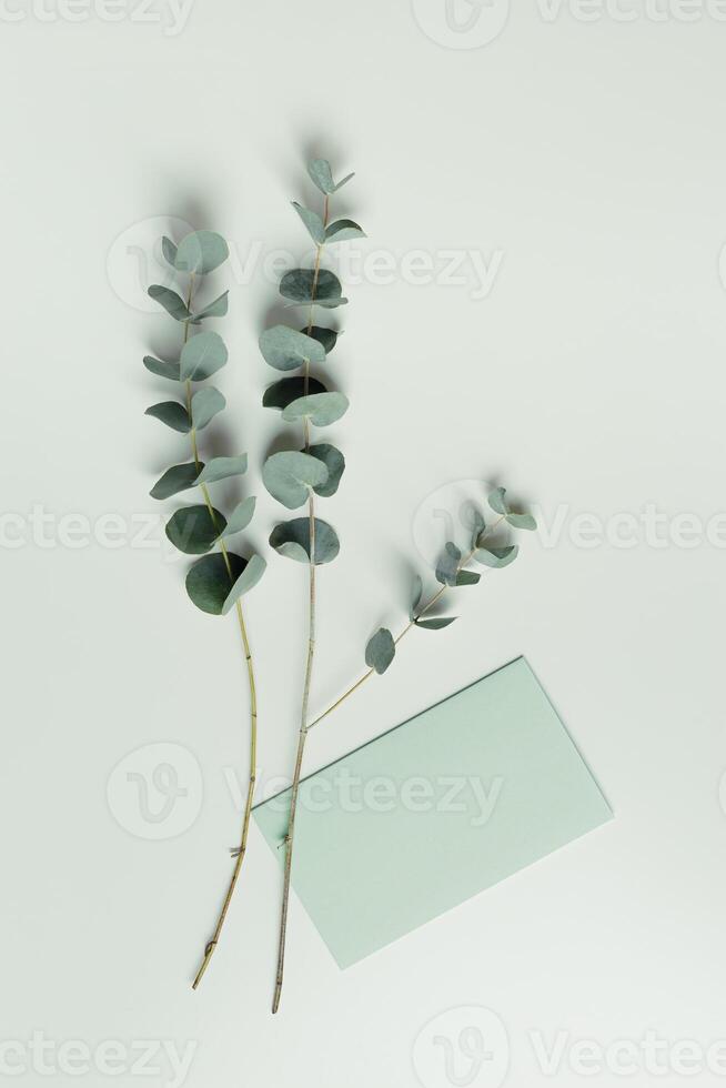 Greeting or invitation card mockup with eucalyptus branches. Close up Card with copy space in green tones, minimal flat lay. Delicate still life, green pastel top view. Natural organic business photo