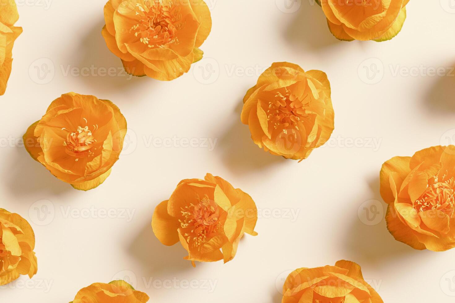 Minimal pattern from orange colored flowers Trollius or Globeflower on beige background, monochrome aesthetic botanical flat lay, natural blooming spring florets, abstract nature still life photo