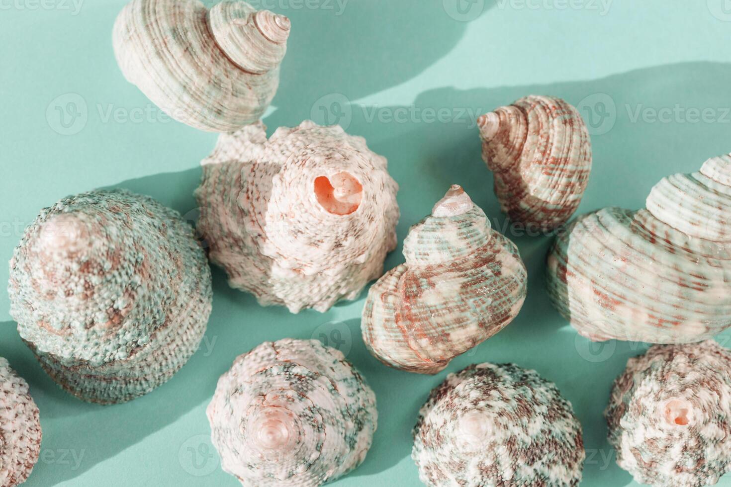 Abstract summer still life with shells on seawater gradient color, blue, turquoise, green, mint colors. Pastel summer tones. Sun glare and shadows. Summer vacation and relaxation concept photo