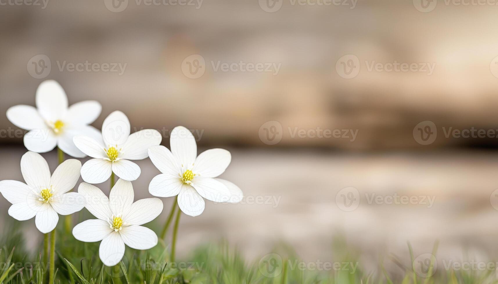 blanco flores silvestres floración en prado debajo brillante luz de sol foto