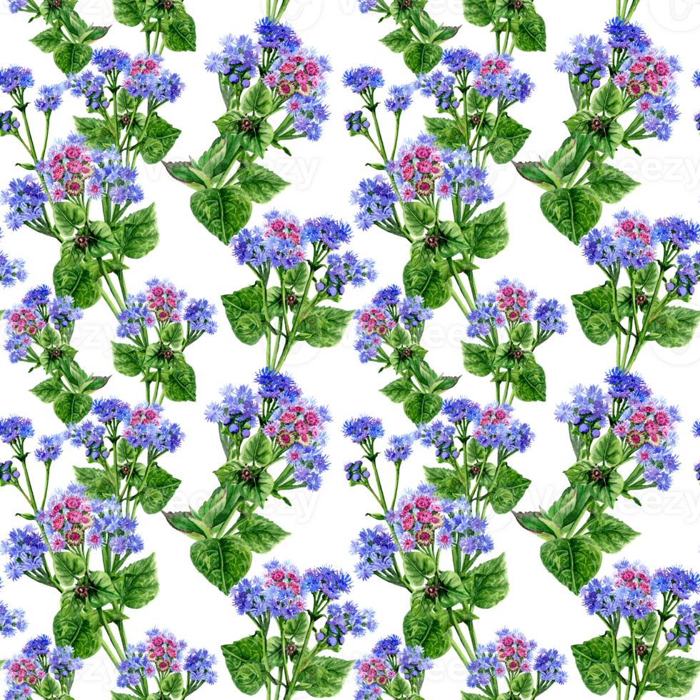 Looped background with Hand drawn blue flowers on the gray png